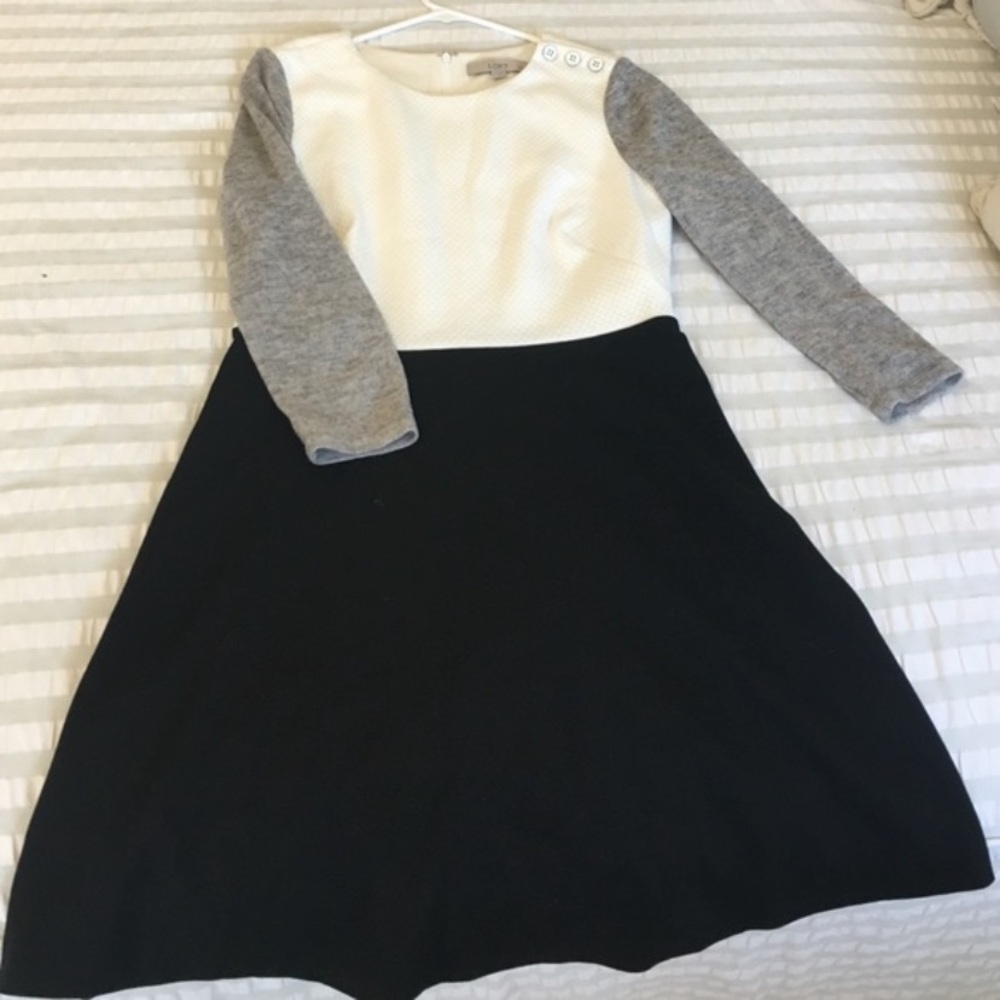 COPY - LOFT Colorblock Flare Dress, Size 10P